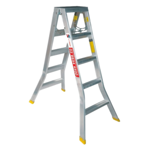 Warthog Dual Purpose Ladder